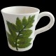 Mug Fougere