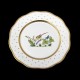 Assiette creuse de 25,5cm de diamètre/ oiseau 6