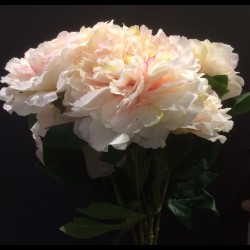 Bouquet de pivoines