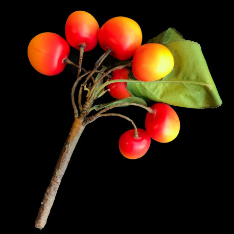 Branche de cerisier