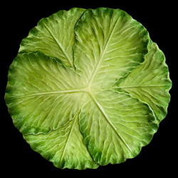 Assiette de table faïence feuille de chou