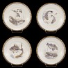 Assiettes table poissons les 12 assorties