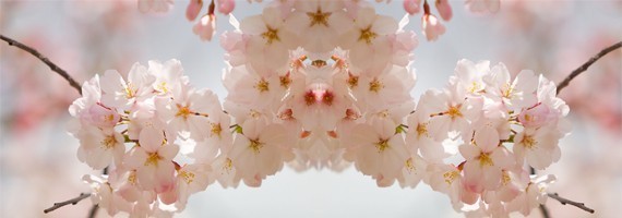 LISTES DE MARIAGE