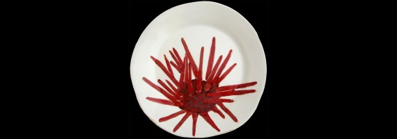 Dinner plates