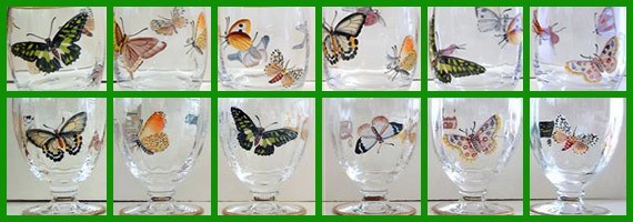 Verres papillons peint main 