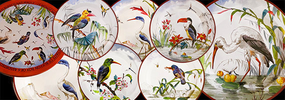 Les Oiseaux, Buffon