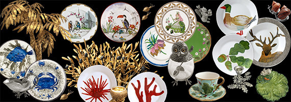 NOS COLLECTIONS