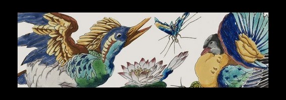 Grands Oiseaux Vieillard